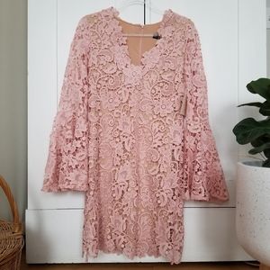 Pastel Pink Bell Sleeve Lace Belle Sleeve Shift Dress